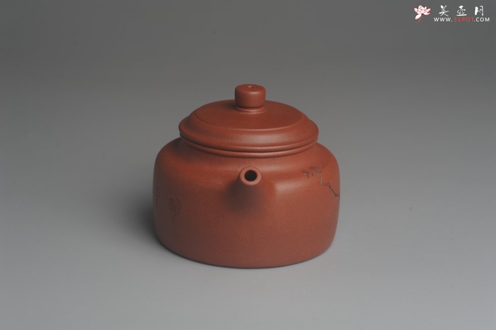 紫砂壶图片：美壶特惠 优质清水泥精致枯枝鸟德中壶 矿物质丰富 茶人醉爱 - 美壶网