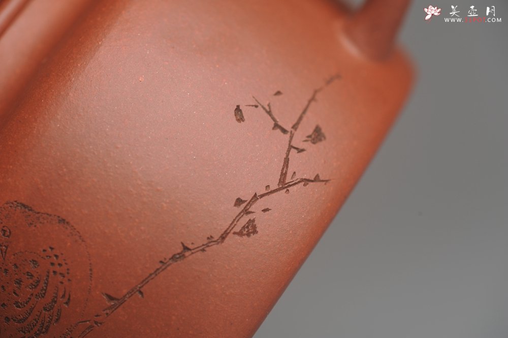 紫砂壶图片：美壶特惠 优质清水泥精致枯枝鸟德中壶 矿物质丰富 茶人醉爱 - 美壶网