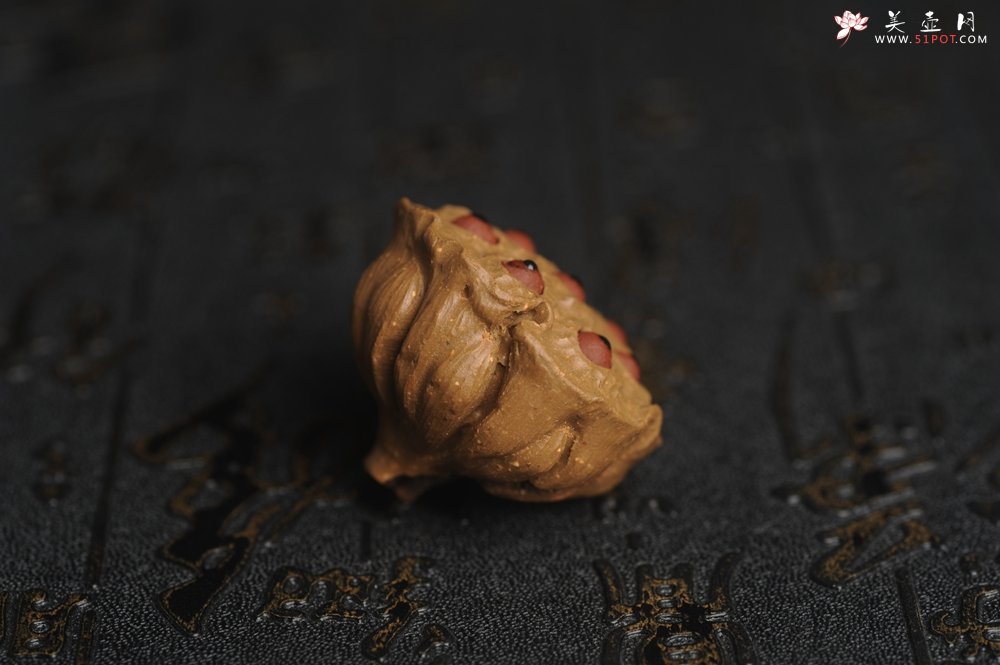 紫砂壶图片：美宠特惠 精致迷你紫砂小莲蓬茶宠摆件 莲子可动有趣 直径3.8cm高2.8cm左右 - 美壶网