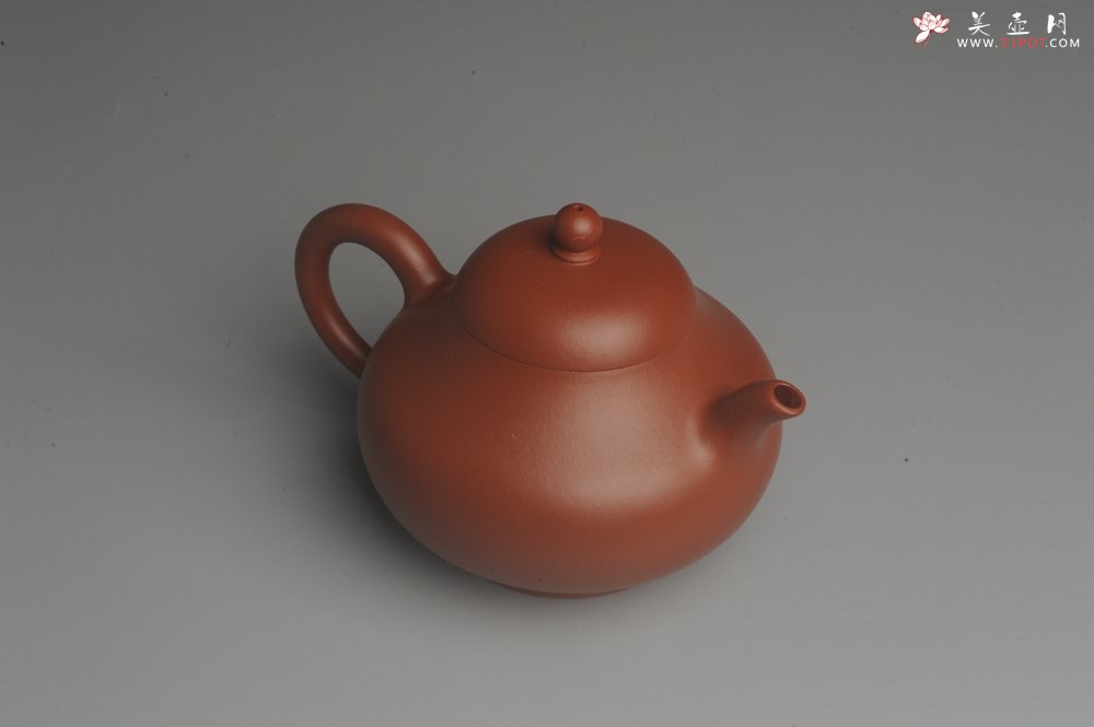 紫砂壶图片：美壶双11福利特惠回馈 精致朱泥茗香小壶 仅一只 - 美壶网