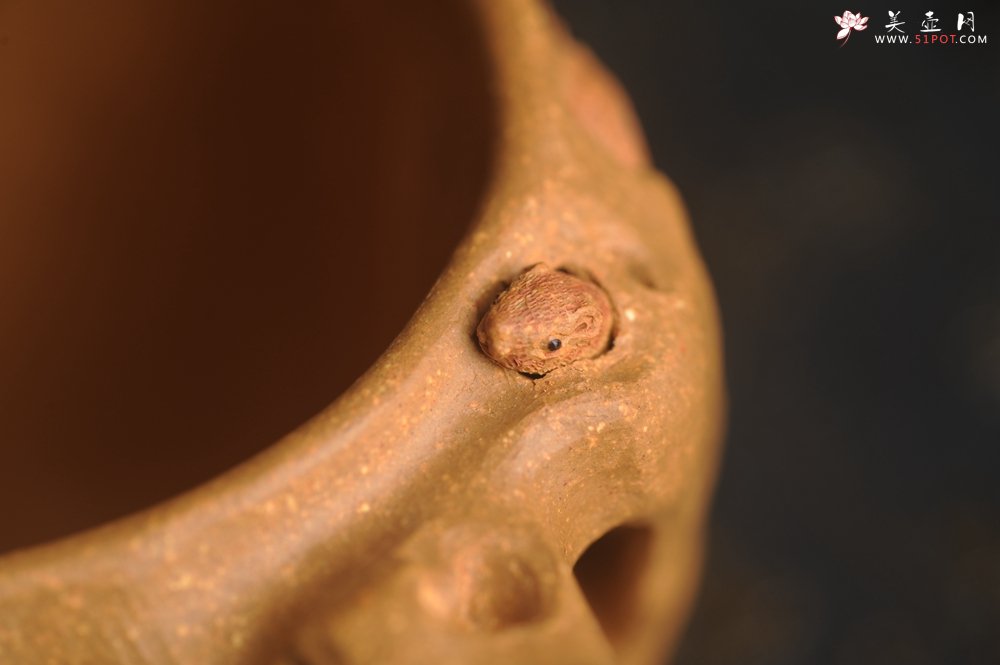 紫砂壶图片：美杯精品特惠 实力演绎全手工老黄段泥松鼠杯 松鼠灵动 贴叶生动 不失为一把好杯 - 美壶网