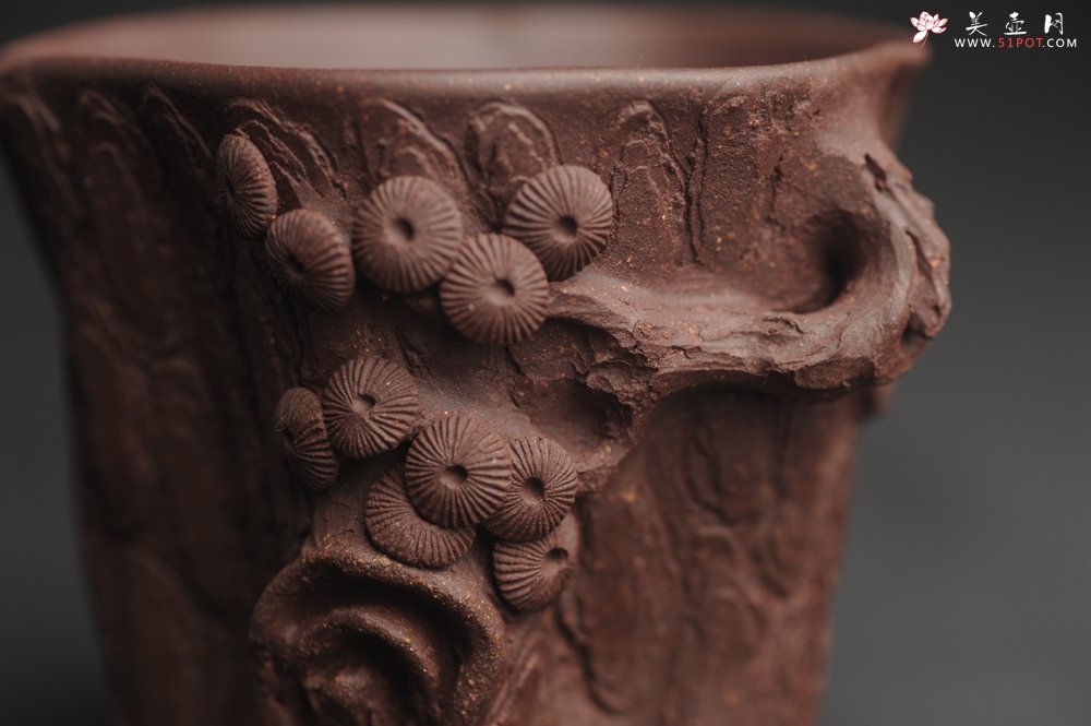 紫砂壶图片：潜力股作品 全手工优质紫泥松桩杯 肌理丰富 全推松皮逼真 枝干生动 - 美壶网