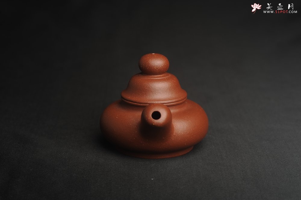紫砂壶图片：美壶特惠 精致降坡泥道洪松鼠壶 萌萌哒 - 美壶网