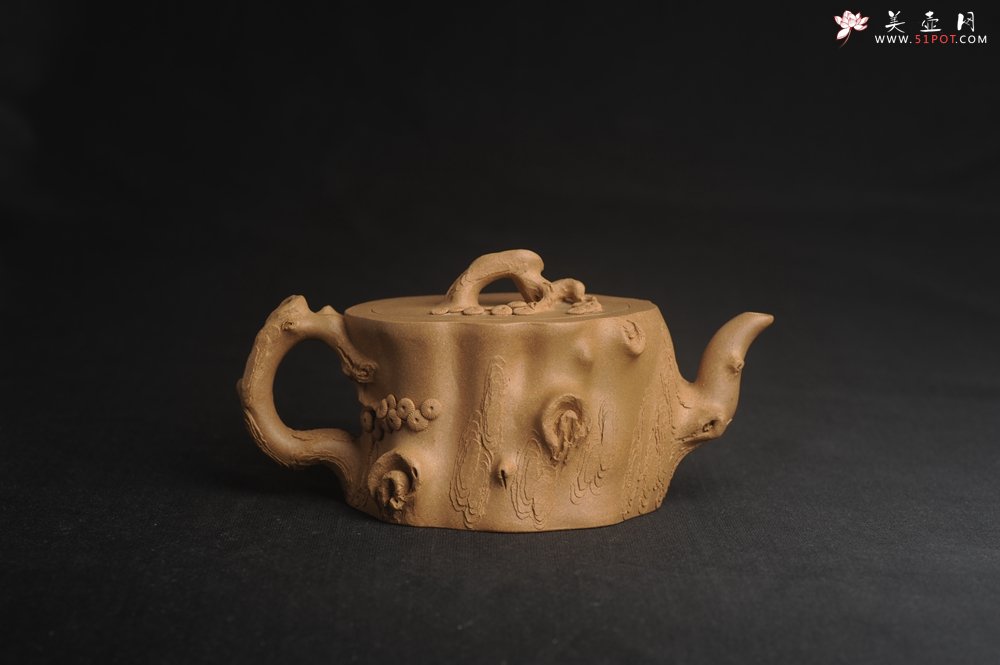 紫砂壶图片：潜力股唐老师 全手工精致老段松桩壶 肌理丰富生动 期待与您结缘 - 美壶网