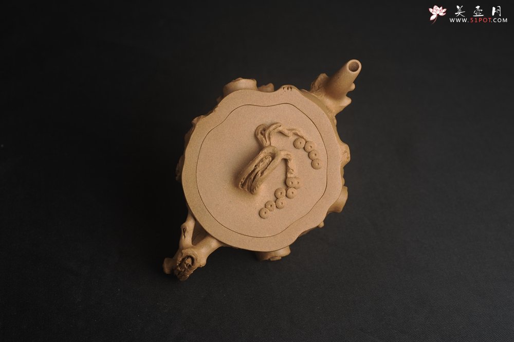 紫砂壶图片：潜力股唐老师 全手工精致老段松桩壶 肌理丰富生动 期待与您结缘 - 美壶网