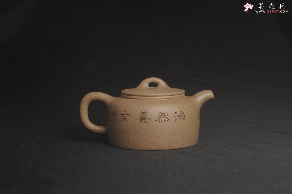 紫砂壶图片：特好高温本山老段泥 全手工过桥井栏壶 浩然养素 - 美壶网