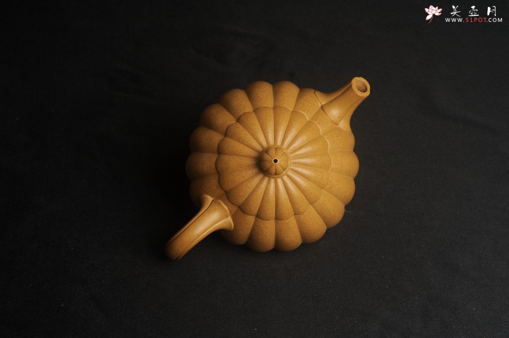 紫砂壶图片：实力派张海艳精工实力之作全手工菊瓣西施壶 壶特好 - 美壶网