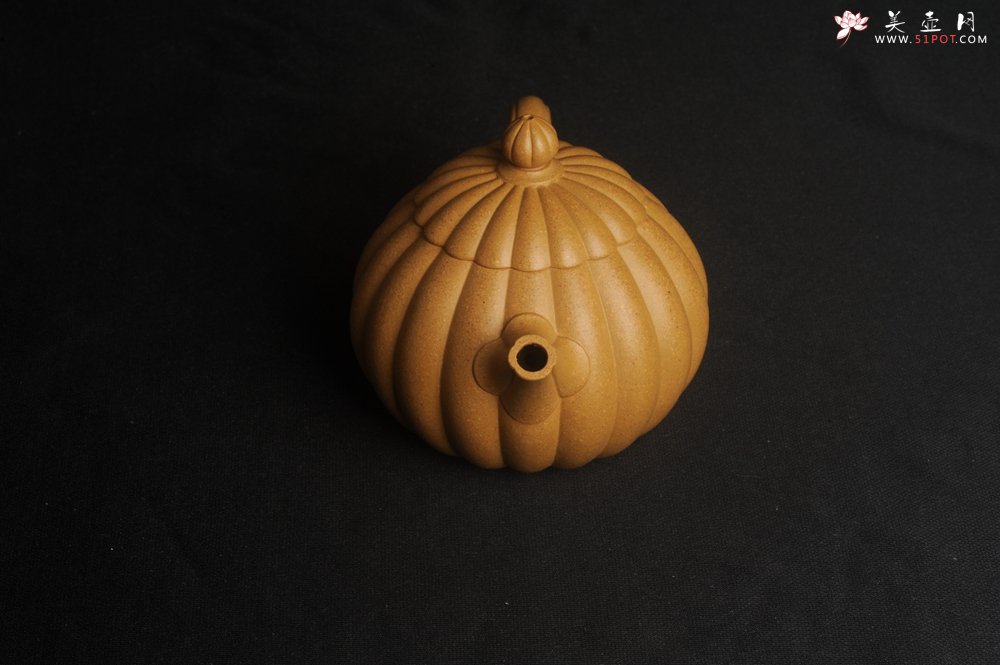 紫砂壶图片：实力派张海艳精工实力之作全手工菊瓣西施壶 壶特好 - 美壶网