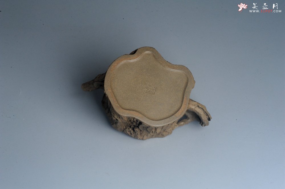 紫砂壶图片：潜力股赵老师 全手工青段松桩壶 松鼠跃然壶盖特有趣 肌理丰富 期待与您结缘 - 美壶网