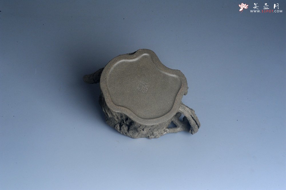 紫砂壶图片：潜力股赵老师 全手工青段松桩壶 松鼠跃然壶盖特有趣 肌理丰富 期待与您结缘 - 美壶网