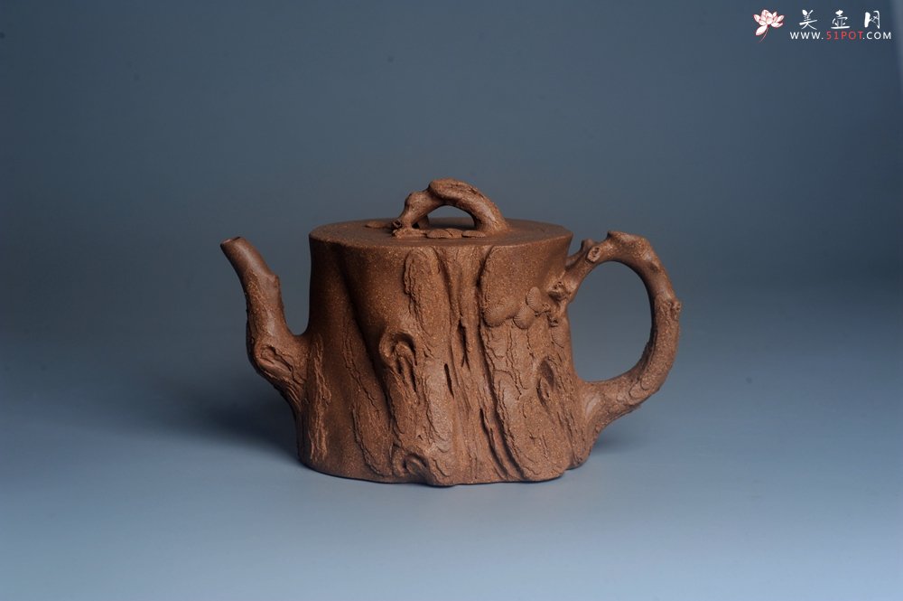 紫砂壶图片：潜力股唐老师 全手工精致老段松桩壶 肌理丰富生动 期待与您结缘 - 美壶网