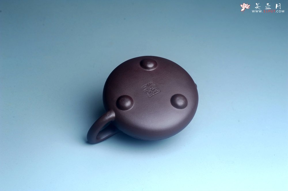 紫砂壶图片：油润底曹青 全手工石瓢壶 装饰喜上眉梢 特文气 - 美壶网