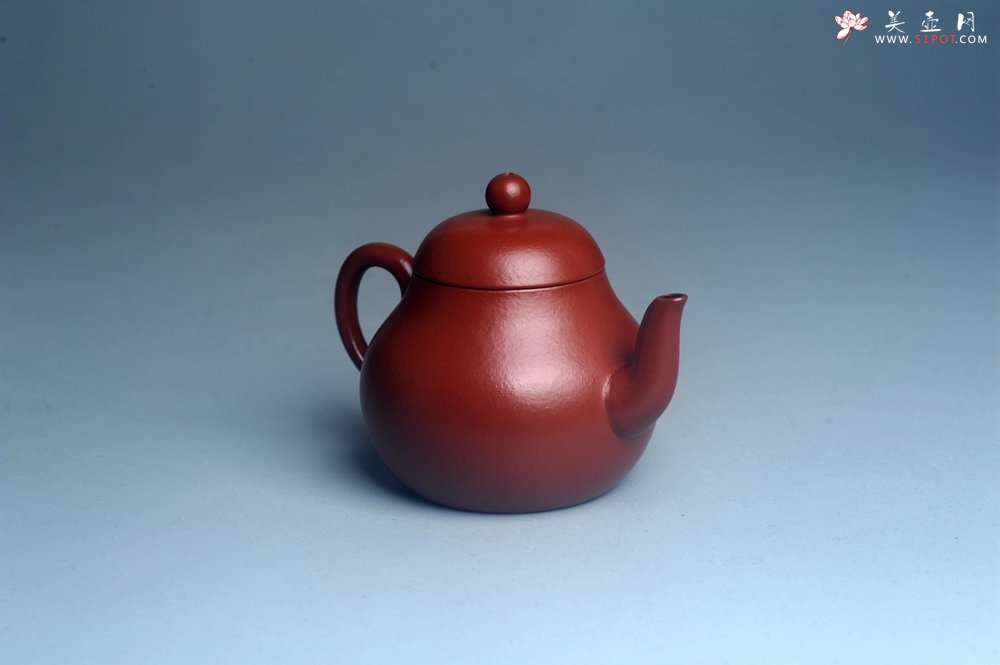 紫砂壶图片：美壶特惠 特好朱泥精致小君德壶 茶人醉爱 - 美壶网