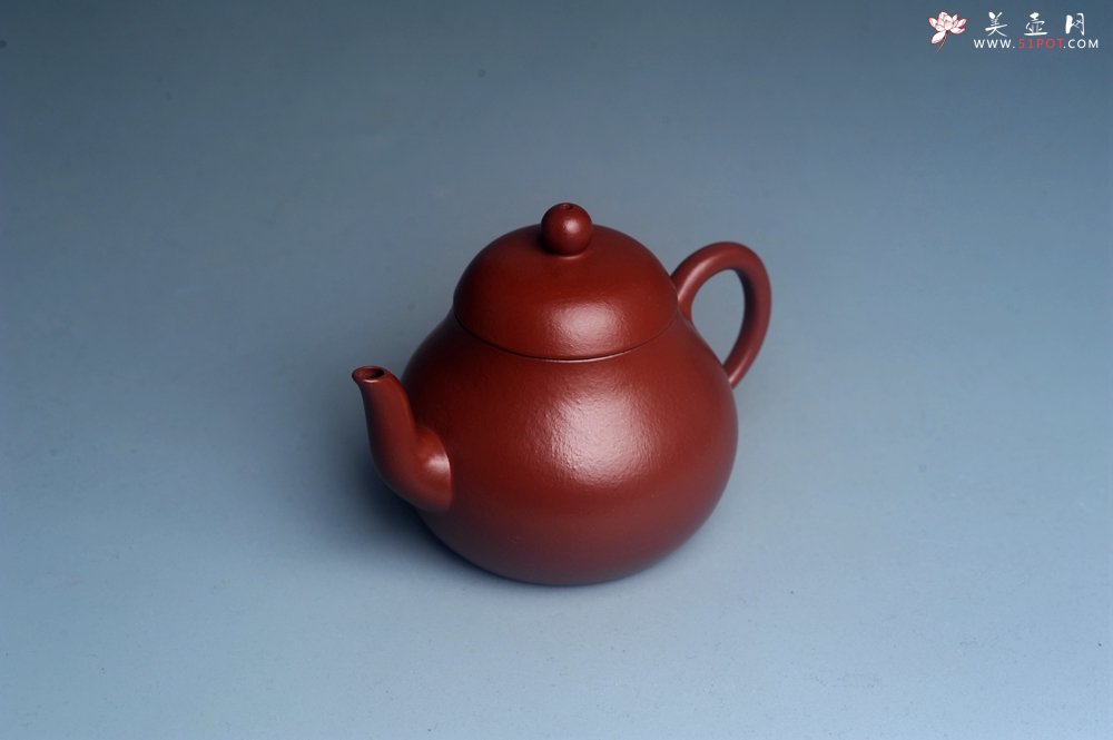 紫砂壶图片：美壶特惠 特好朱泥精致小君德壶 茶人醉爱 - 美壶网