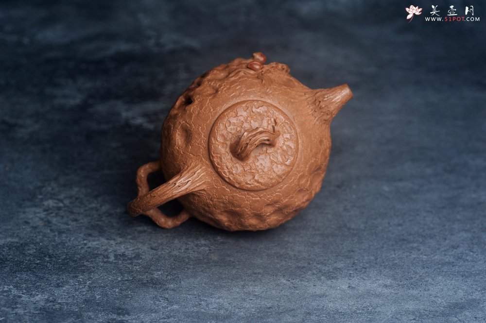 紫砂壶图片：潜力股董静老师精品全手金猴献寿供春壶 - 美壶网