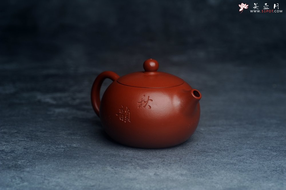 紫砂壶图片：美壶特惠紫砂壶优质朱泥扁西施壶 装饰松针松鼠 秋韵图 - 美壶网