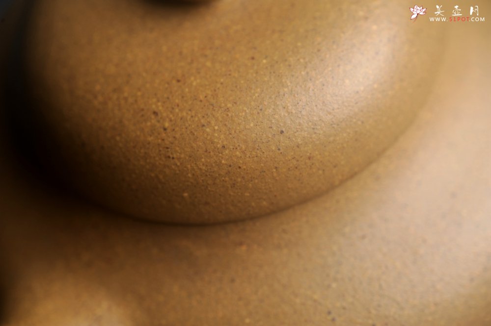 紫砂壶图片：美壶特惠 特好黄金段泥小美壶 - 美壶网