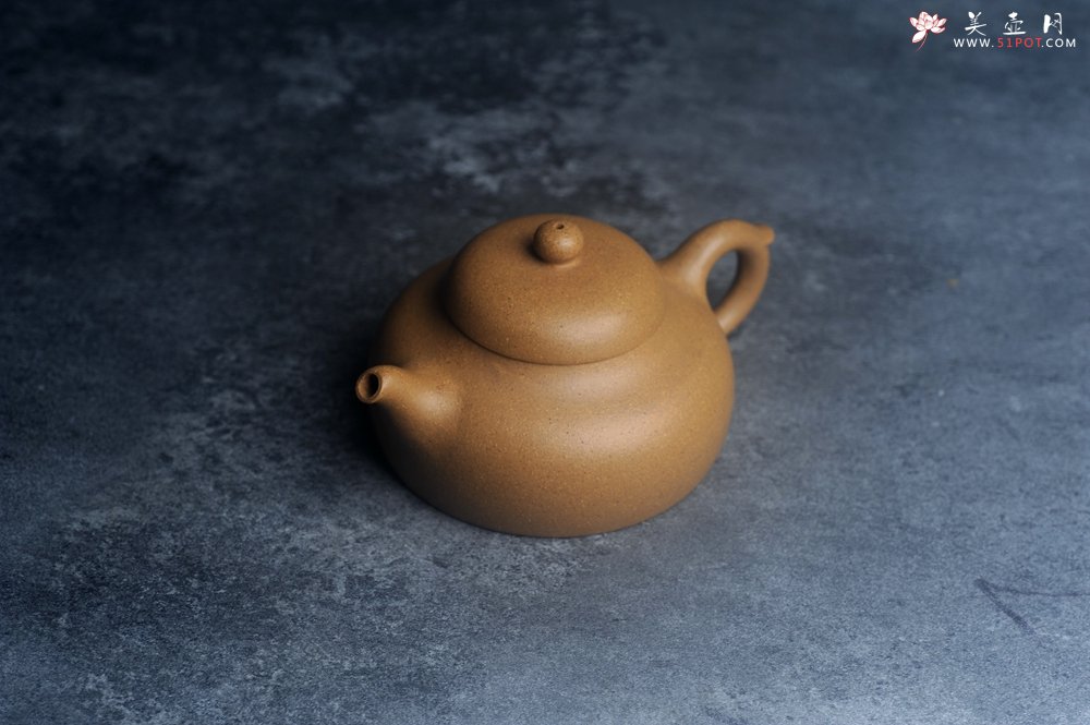 紫砂壶图片：美壶特惠 特好黄金段泥小美壶 - 美壶网