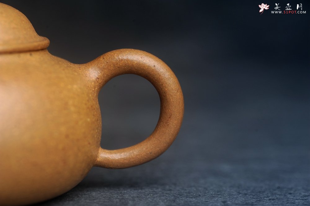 紫砂壶图片：美壶特惠 特好段泥容天壶 - 美壶网