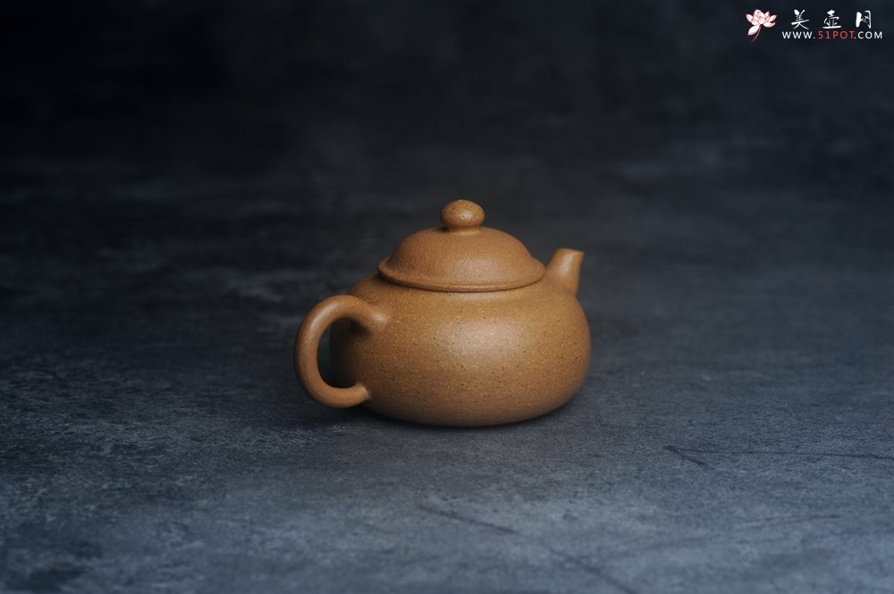 紫砂壶图片：美壶特惠 特好段泥容天壶 - 美壶网