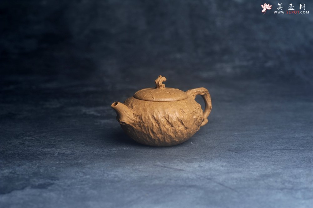 紫砂壶图片：美壶特惠精品特好全手工老段泥游龙供春紫砂壶 - 美壶网