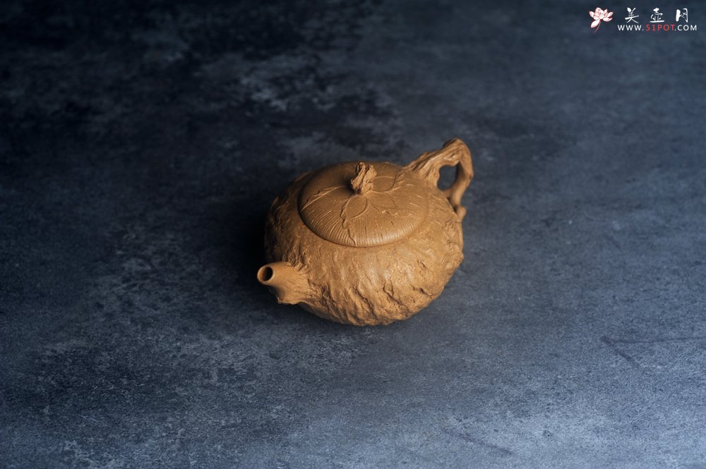 紫砂壶图片：美壶特惠精品特好全手工老段泥游龙供春紫砂壶 - 美壶网