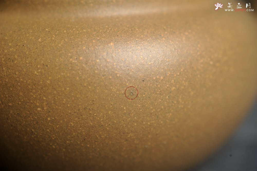 紫砂壶图片：美壶特惠 特好本山段泥涌泉壶 茶人醉爱 - 美壶网