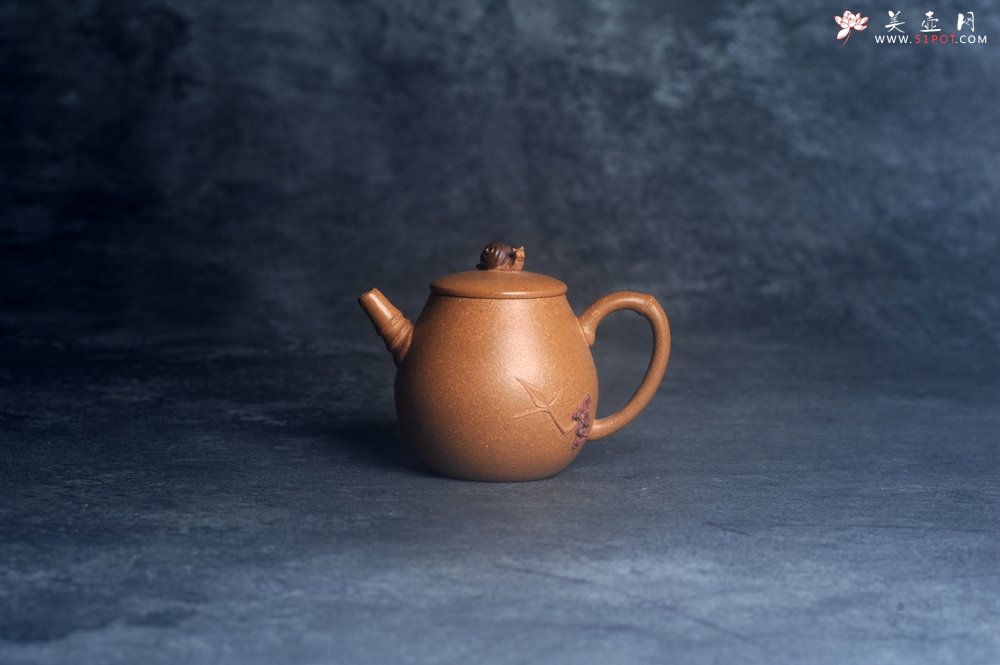 紫砂壶图片：美壶特惠 特好老段泥蜗牛居竹壶 茶人醉爱 - 美壶网