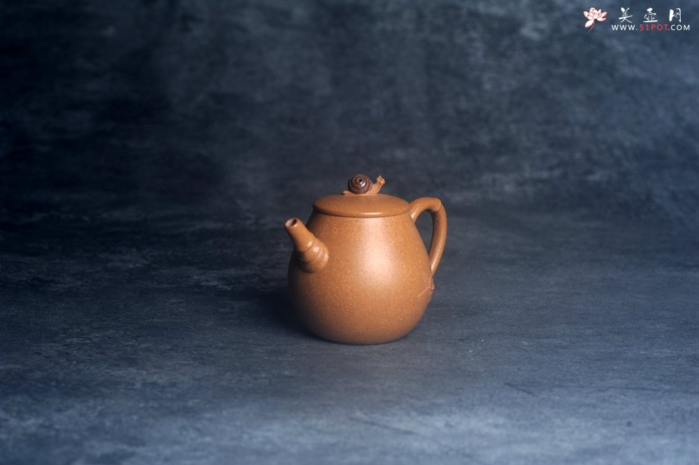 紫砂壶图片：美壶特惠 特好老段泥蜗牛居竹壶 茶人醉爱 - 美壶网