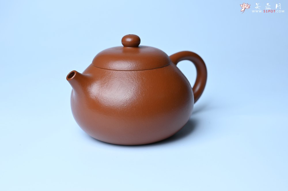 紫砂壶图片：潜力股周小培 油润黄龙山朱泥 全手工文旦壶 壶特好 期待与您结缘 - 美壶网