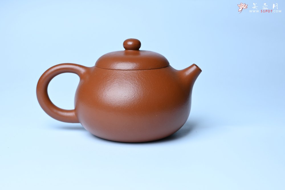 紫砂壶图片：潜力股周小培 油润黄龙山朱泥 全手工文旦壶 壶特好 期待与您结缘 - 美壶网