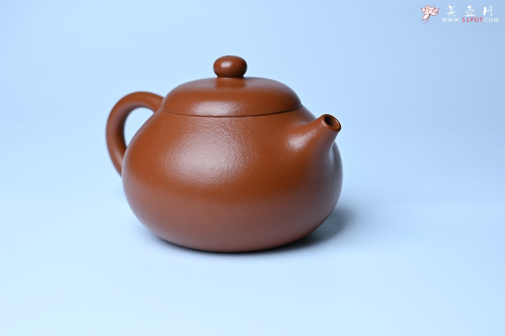 紫砂壶图片：潜力股周小培 油润黄龙山朱泥 全手工文旦壶 壶特好 期待与您结缘 - 美壶网