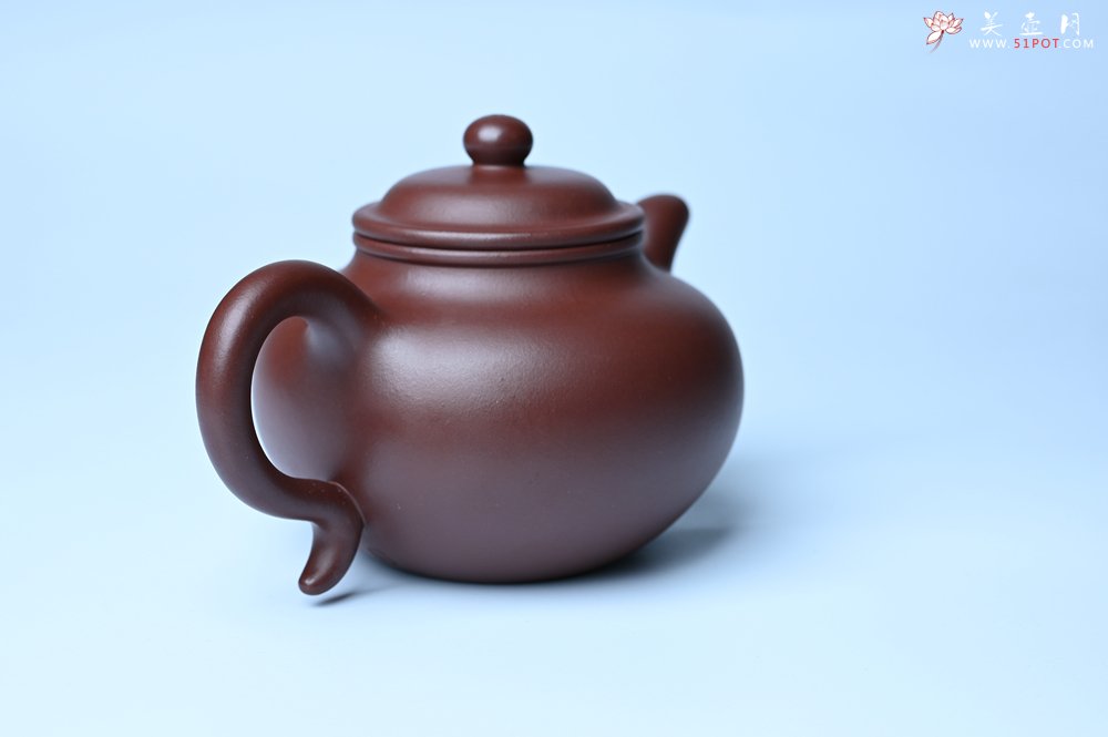 紫砂壶图片：潜力股周小培老师 4号井深井红皮龙 超精致全手工莲子茶壶 - 美壶网