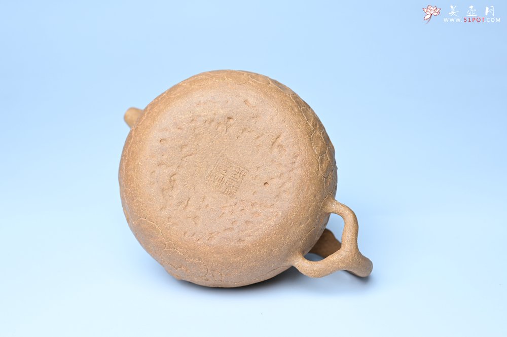 紫砂壶图片：潜力股赵老师实力演绎全手工老黄段泥灵芝游龙供春壶 游龙传福 不失为一把好壶 - 美壶网