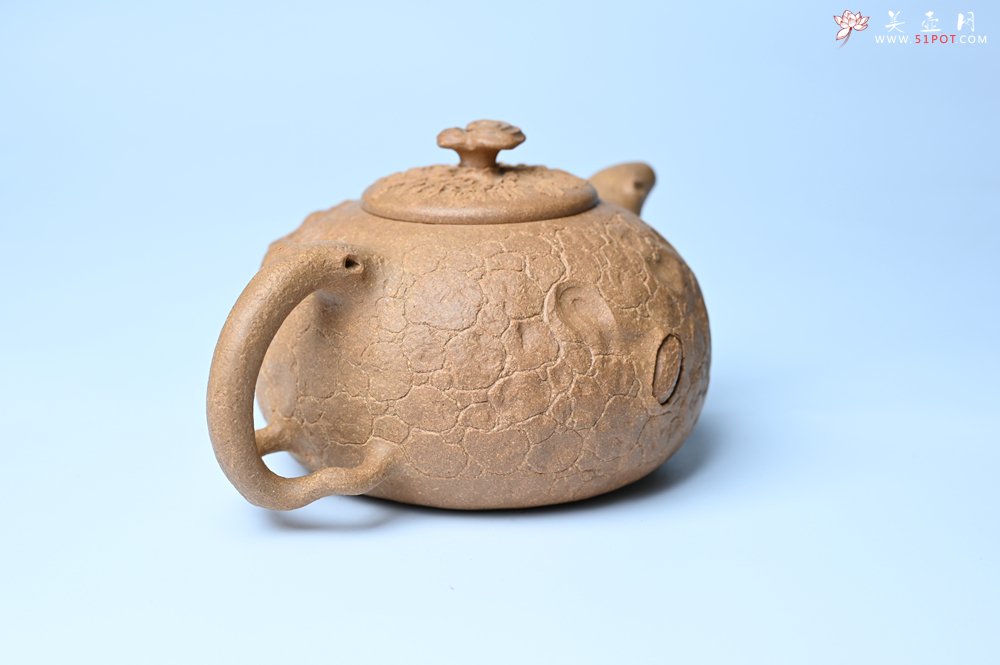 紫砂壶图片：潜力股赵老师实力演绎全手工老黄段泥灵芝游龙供春壶 游龙传福 不失为一把好壶 - 美壶网