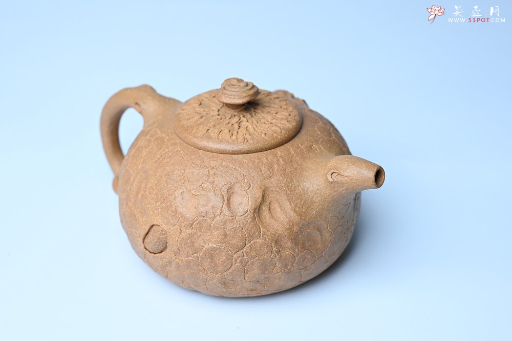 紫砂壶图片：潜力股赵老师实力演绎全手工老黄段泥灵芝游龙供春壶 游龙传福 不失为一把好壶 - 美壶网