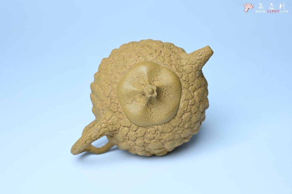 紫砂壶图片：美壶特惠 全手工黄段供春 肌理有老树瘿的感觉 灰常赞 - 美壶网