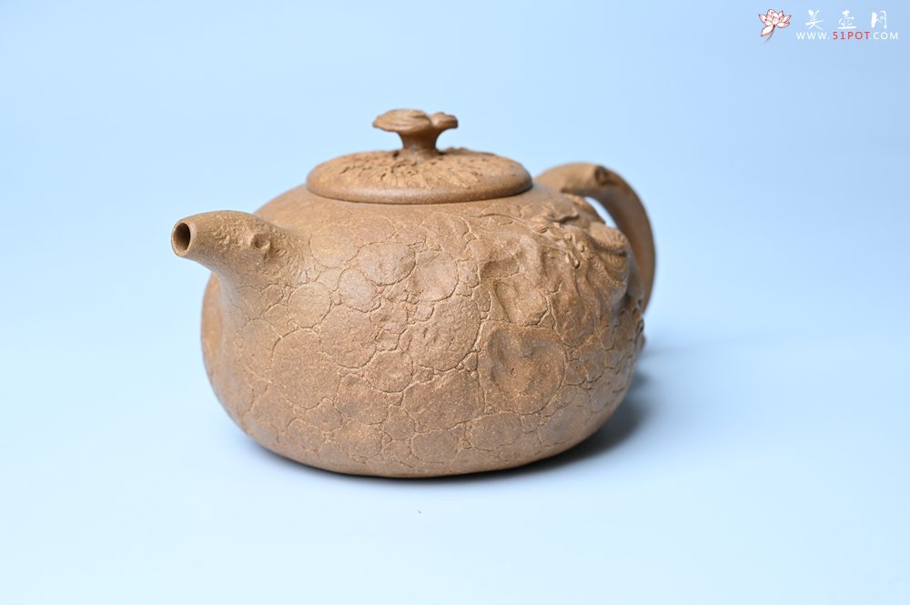 紫砂壶图片：潜力股赵老师实力演绎全手工老黄段泥灵芝游龙供春壶 游龙传福 不失为一把好壶 - 美壶网