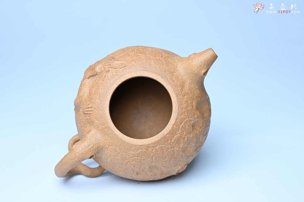 紫砂壶图片：潜力股赵老师实力演绎全手工老黄段泥灵芝游龙供春壶 游龙传福 不失为一把好壶 - 美壶网