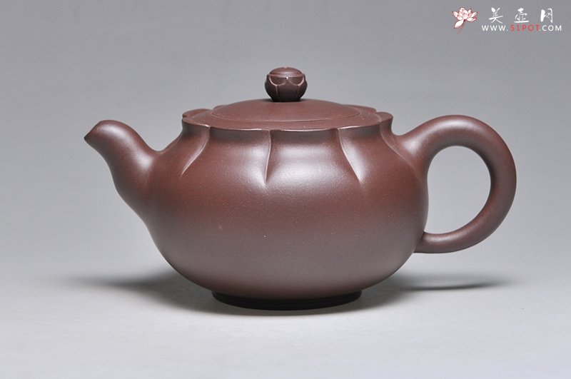 紫砂壶图片：待放 - 美壶网