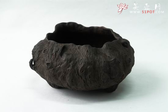 紫砂壶图片：树瘿系列 - 美壶网