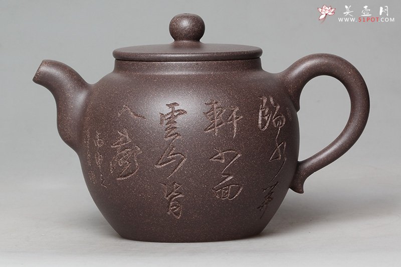 紫砂壶图片：志存高远 - 美壶网