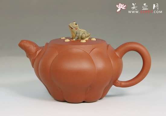 紫砂壶图片：青蛙莲子 - 美壶网