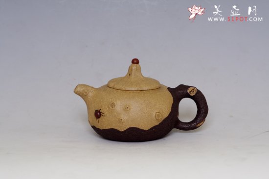 紫砂壶图片：双色树瘿 - 美壶网