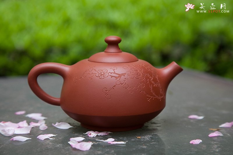 紫砂壶图片：花翎壶 - 美壶网