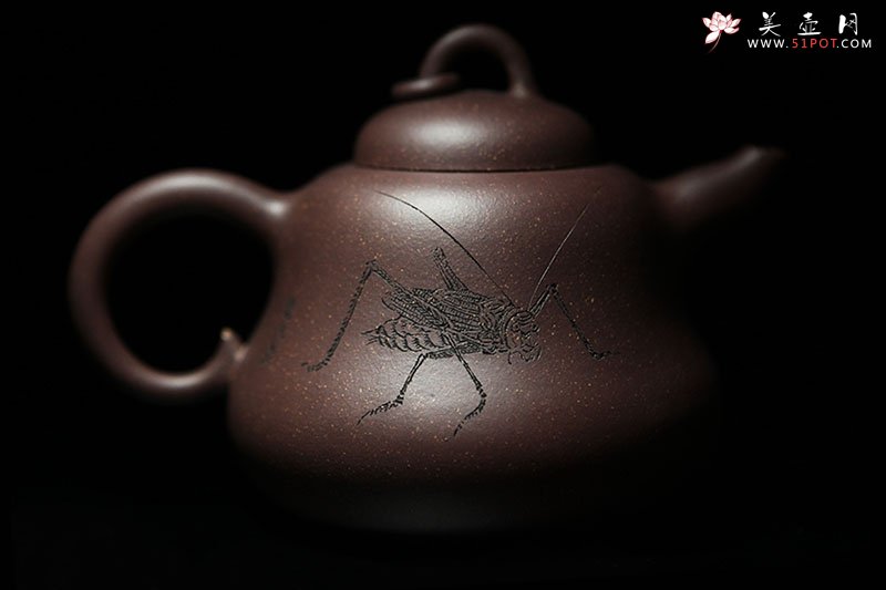 紫砂壶图片：芦壶特写（江苏省文联专职画家韩非书画） - 美壶网