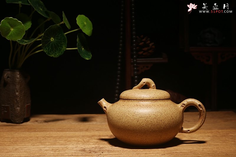 紫砂壶图片：逢春 - 美壶网