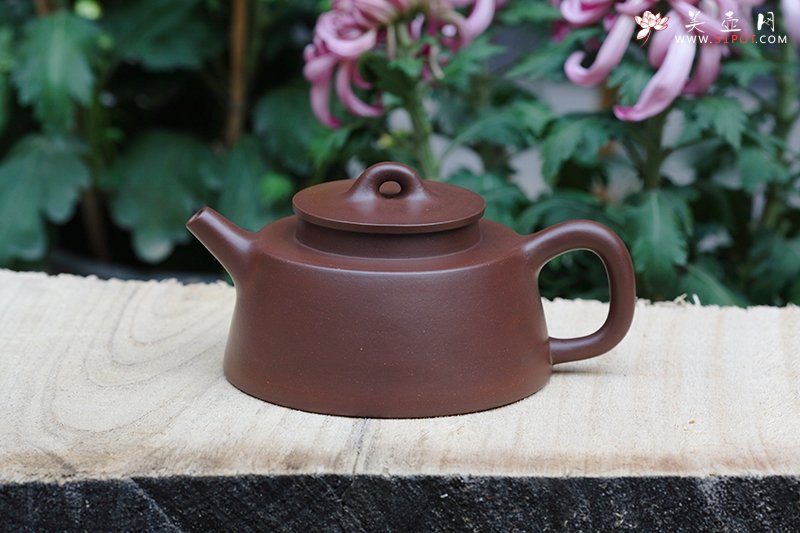 紫砂壶图片：鱼罩 - 美壶网
